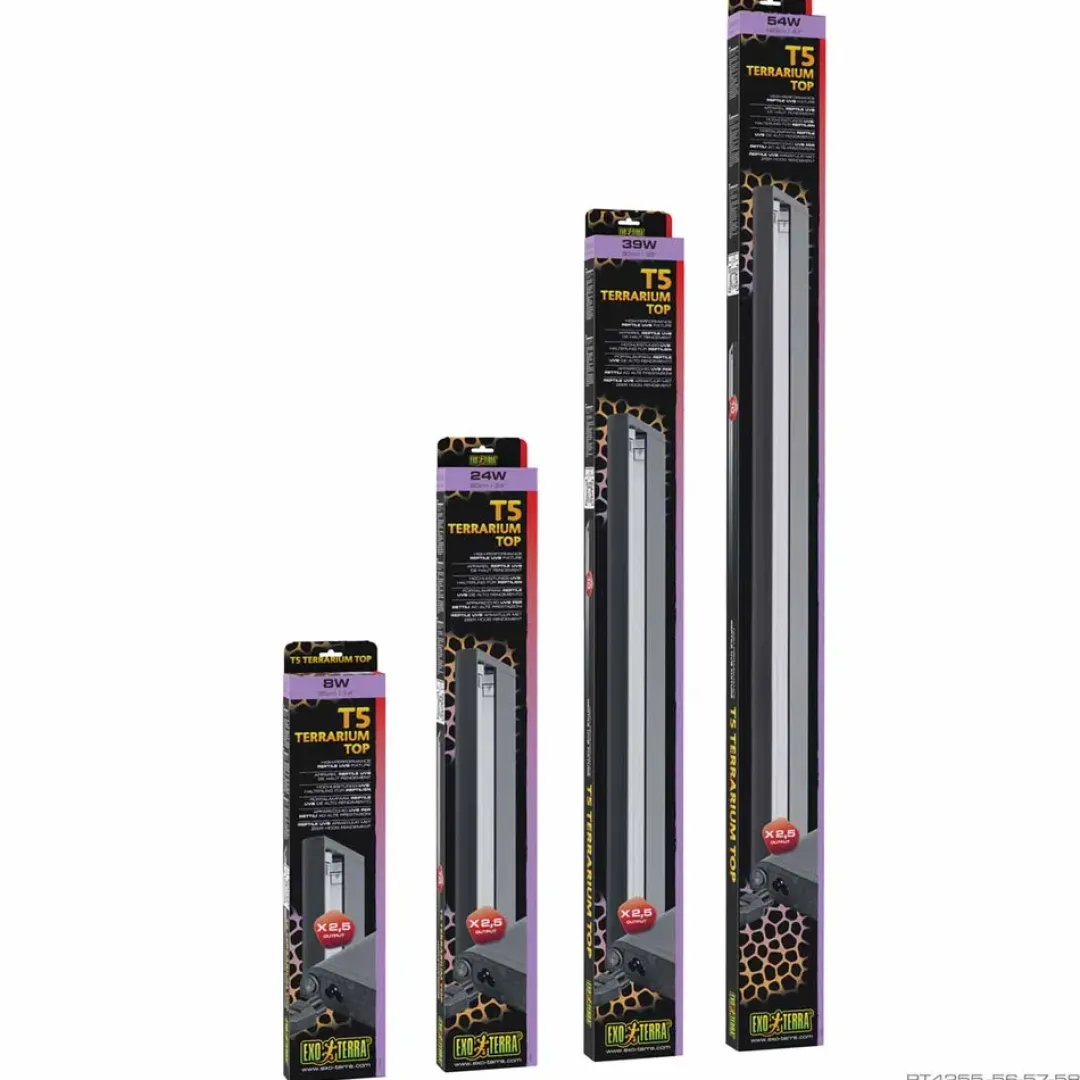 Discount T5 Terrarium Top Terrarielampe 8 Watt Terrarielysstofrør, Pærer Og Varme|Terrarier Og Terrarielamper