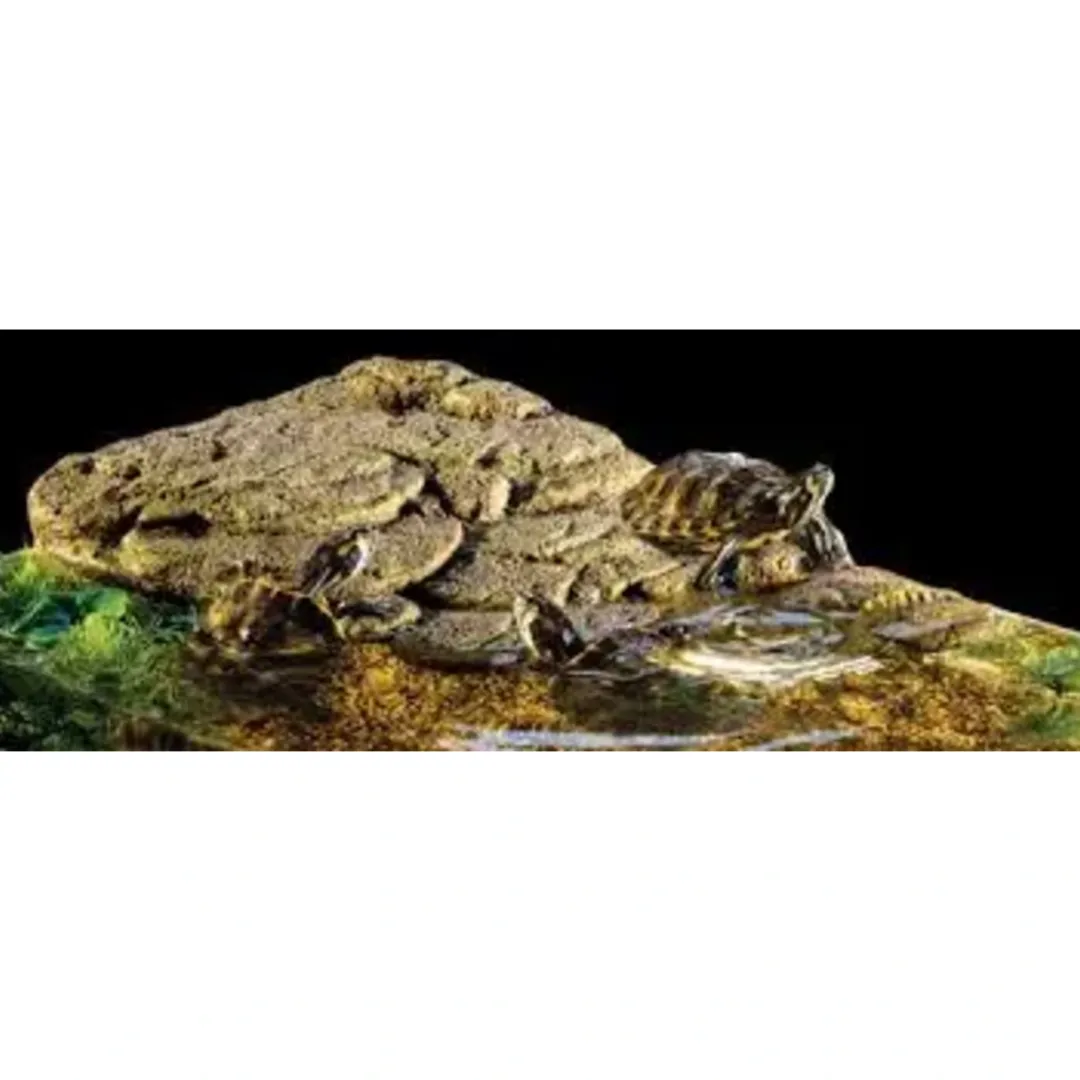 New Exo Terra Turtle Bank med magnet medium Dekoration Til Terrarier