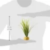 Best Exo Terra Turtle Grass Terrarieplanter