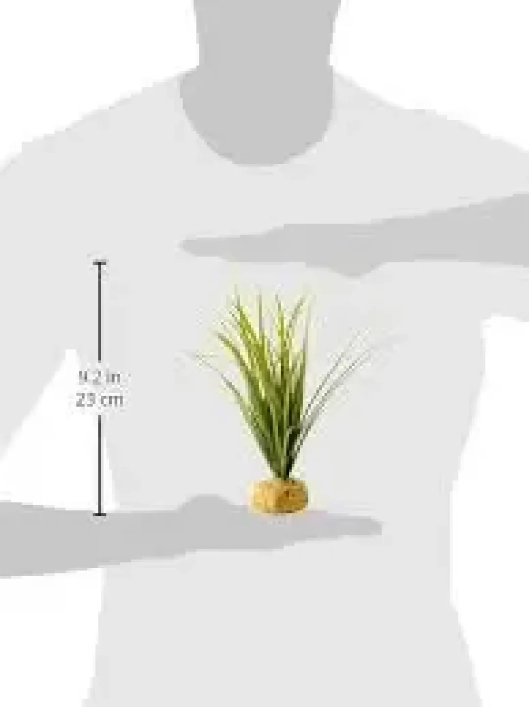 Best Exo Terra Turtle Grass Terrarieplanter