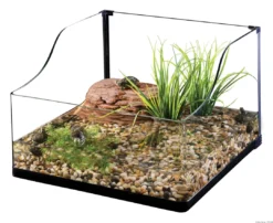 Best Exo Terra Turtle Grass Terrarieplanter