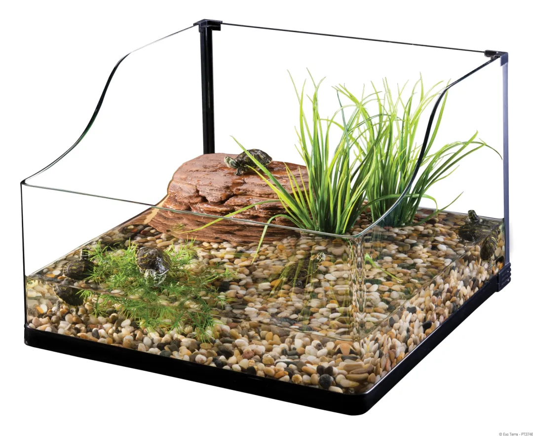 Best Exo Terra Turtle Grass Terrarieplanter