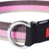 Outlet Halvkvæler Halsbånd Candy XL 56-83 cm Hvalpehalsbånd - Bløde Og Sikre Halsbånd Med Perfekt Pasform Til Din Hvalp|Hundehalsbånd Med Stil - Komfort Og Sikkerhed Til Din Hund