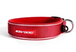 Outlet Neopren Halsbånd S Rød 34-38 cm Hvalpehalsbånd - Bløde Og Sikre Halsbånd Med Perfekt Pasform Til Din Hvalp|Hundehalsbånd Med Stil - Komfort Og Sikkerhed Til Din Hund