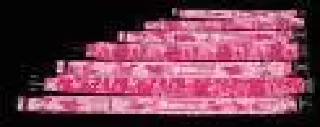 Hot Neopren Halsbånd XS Pink 28-32 cm Hvalpehalsbånd - Bløde Og Sikre Halsbånd Med Perfekt Pasform Til Din Hvalp|Hundehalsbånd Med Stil - Komfort Og Sikkerhed Til Din Hund