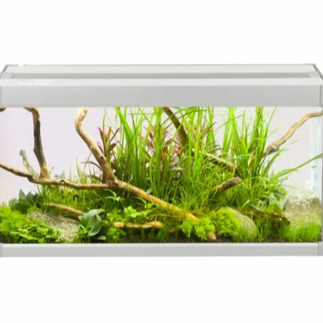 Outlet Family Akvarium 60x30x32 cm 54 Liter Akvarier