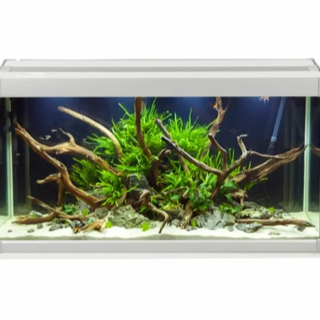 Hot Family Akvarium 70x32x37 cm 80 Liter Akvarier