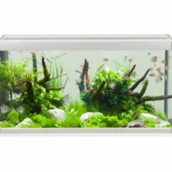 Online Family Akvarium 80x35x42 cm 112 Liter Akvarier