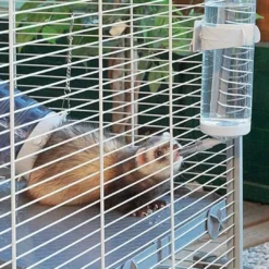 Online Furet Tower Fritte gnaverbur (75 x 80 x 161 cm) Bure & Tilbehør Til Gnavere & Kaniner