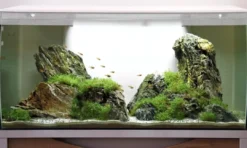 New Flex akvarium 123 Liter Hvid Akvarier