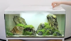 New Flex akvarium 123 Liter Hvid Akvarier