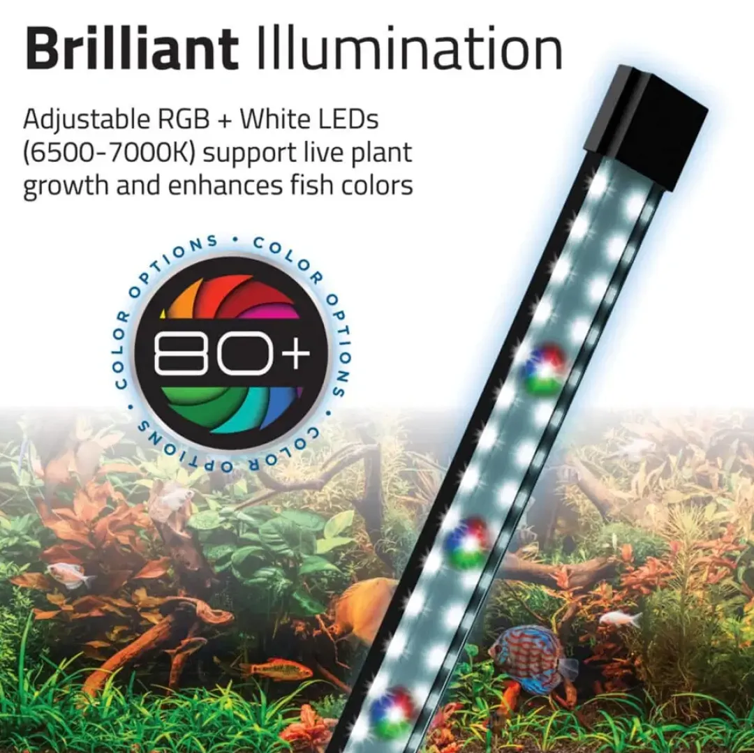 Clearance Flex LED akvarium version 2.0 34 L Sort Akvarier
