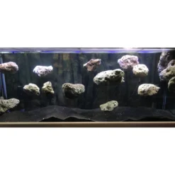 Best Flydende vægsten med sugekopper Lille (Wall Rock) Aquascaping