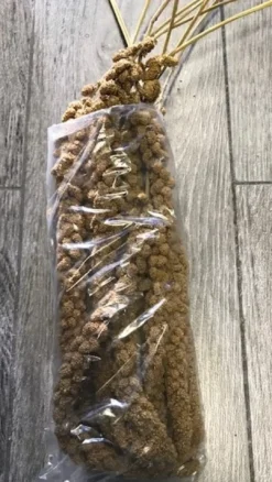 New Franske Gule Hirsekolber 10 stk Fuglefoder