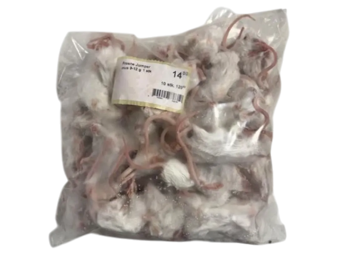Discount Frosne Jumper mus 9-12 g 1 stk Foder & Vitaminer Til Krybdyr
