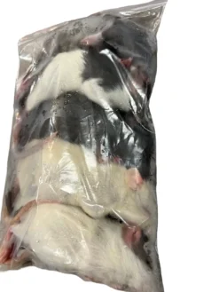 New Frosne 6 uger Rotter 90-120 g 5 stk Foder & Vitaminer Til Krybdyr