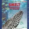 Best Frostfoder Ak Smelt 6 - 9 cm Lancet fisk Fiskefoder Til Ferskvandsfisk|Fiskefoder Til Saltvandsfisk