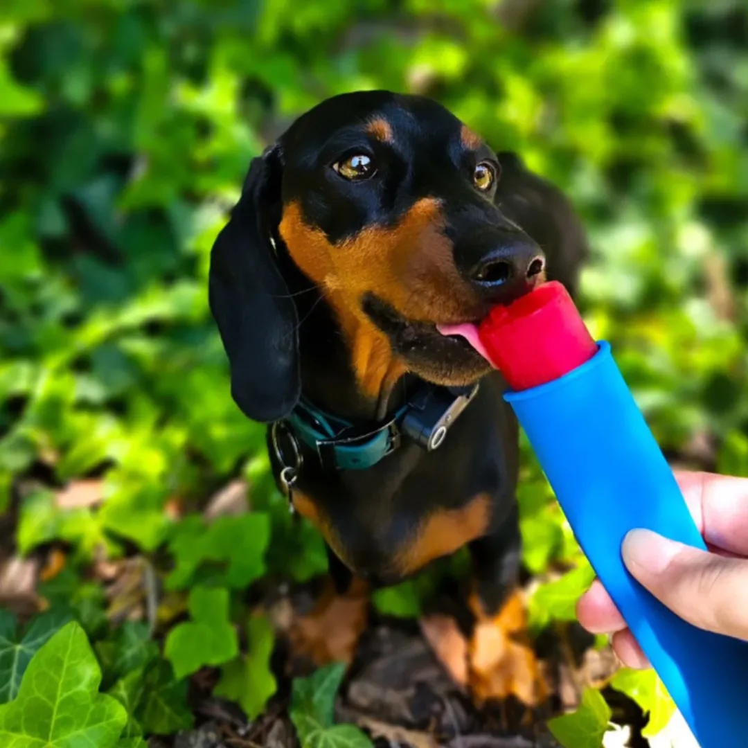 Online FÜRREE Icecream med Churpi-Ost Hundeguf Og Tyggeben Til Hunde