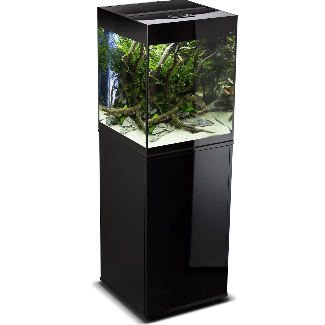 Sale Glossy akvarie Cube 50x50x63 cm 132 L Sort Akvarier