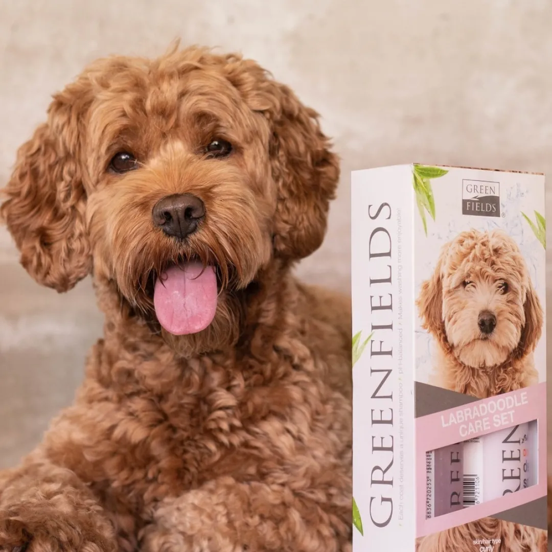 Discount Detangling Spray 270 ml Plejemidler Til Hund Med Fokus På Sundhed Og Velvære