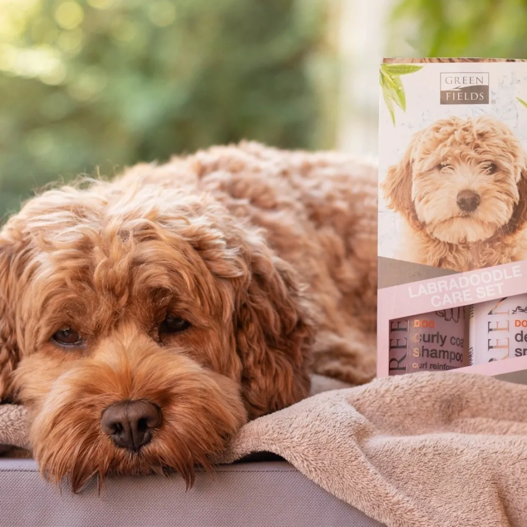 Discount Detangling Spray 270 ml Plejemidler Til Hund Med Fokus På Sundhed Og Velvære