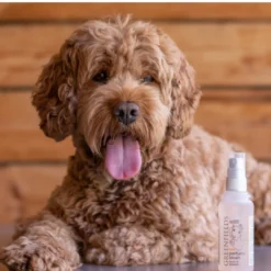 Online Hunde Parfume Blush 100 ml Plejemidler Til Hund Med Fokus På Sundhed Og Velvære