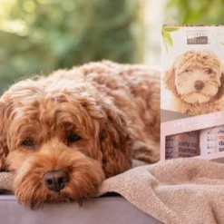 Clearance Shampoo Krøllet Pels 270 ml Plejemidler Til Hund Med Fokus På Sundhed Og Velvære