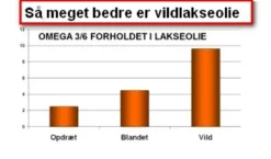New Grizzly Plus Vildlakseolie 1000 ml Plejemidler Til Hund Med Fokus På Sundhed Og Velvære|Fodertilskud Til Hvalpe - Støtte Til Sund Vækst Og Trivsel