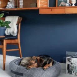 New Halo rund hundeseng Emerald Small 52 x 52 x 12 cm Grøn Hundesenge Og Kurve Til Hunde - Bløde Og Komfortable|Sovepladser Til Hvalpe - Hundesenge, Kølemåtter Og Trygge Hvilesteder