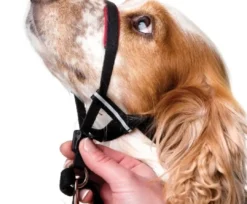 Clearance OptiFit snudesele til hund medium nr 3 Hundeseler Til Alle Behov Og Hundestørrelser