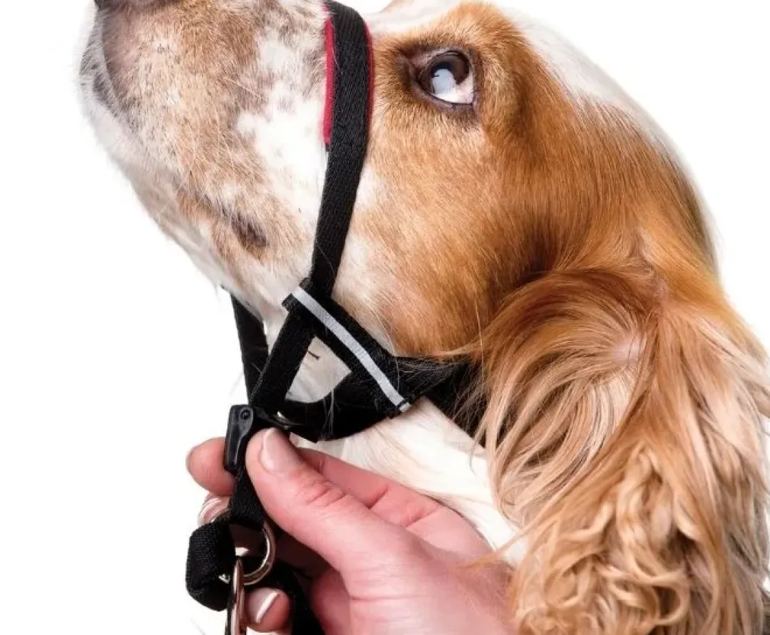 Clearance OptiFit snudesele til hund medium nr 3 Hundeseler Til Alle Behov Og Hundestørrelser