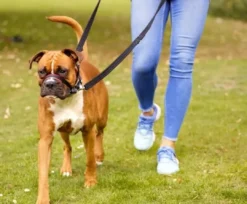 Sale OptiFit snudesele til hund stor Hundeseler Til Alle Behov Og Hundestørrelser