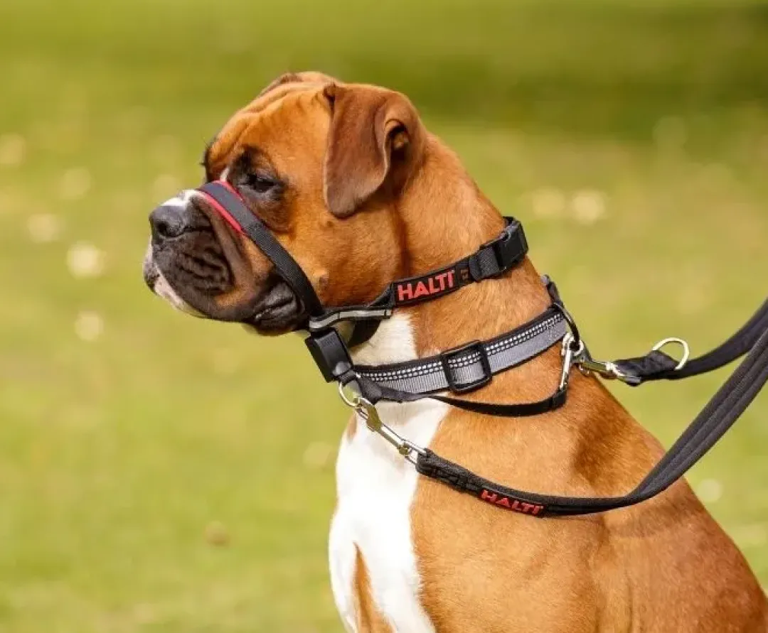Sale OptiFit snudesele til hund stor Hundeseler Til Alle Behov Og Hundestørrelser