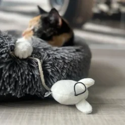 Online HappyCat Kattelegetøj MOOSY 2 stk Killingelegetøj - Sjov, Træning Og Aktivering For Killinger|Kattelegetøj