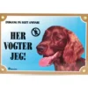 Best Her vogter jeg skilt med Setter Tilbehør Til Hund - Alt Til En Glad Og Tryg Hverdag For Din Bedste Ven