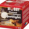 Sale Diamond Halogen spotlight 100 watt Terrarielysstofrør, Pærer Og Varme