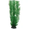 Clearance Egeria 20 cm Akvarieplanter