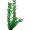 Discount Egeria 34 cm Akvarieplanter