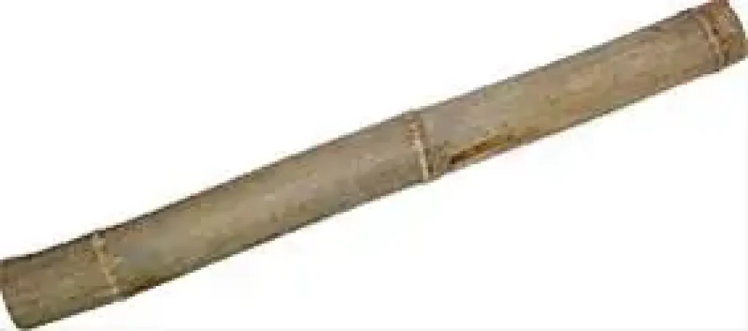 Clearance Gul Bambus 50 cm Ø 4,5-5,5 cm Dekoration Til Terrarier
