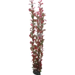 Discount Ludwiga 60 cm Akvarieplanter