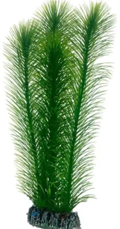 Best Mayaca 25 cm Akvarieplanter