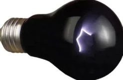 Hot Moonlight 75 watt Terrarielysstofrør, Pærer Og Varme