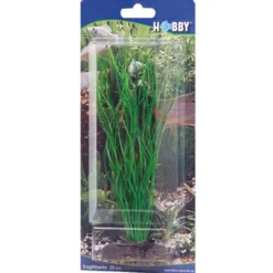 Discount Sagittaria 20 cm Akvarieplanter