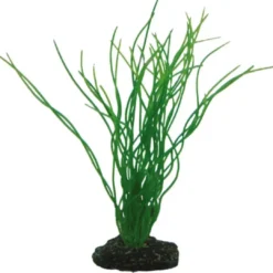 Discount Sagittaria 20 cm Akvarieplanter