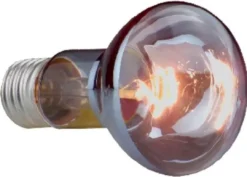 Hot Sunlight 75 Watt Terrarielysstofrør, Pærer Og Varme