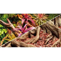Terrariebaggrund 100x60 cm Colorful Jungle / Strangler Fig Dekoration Til Terrarier