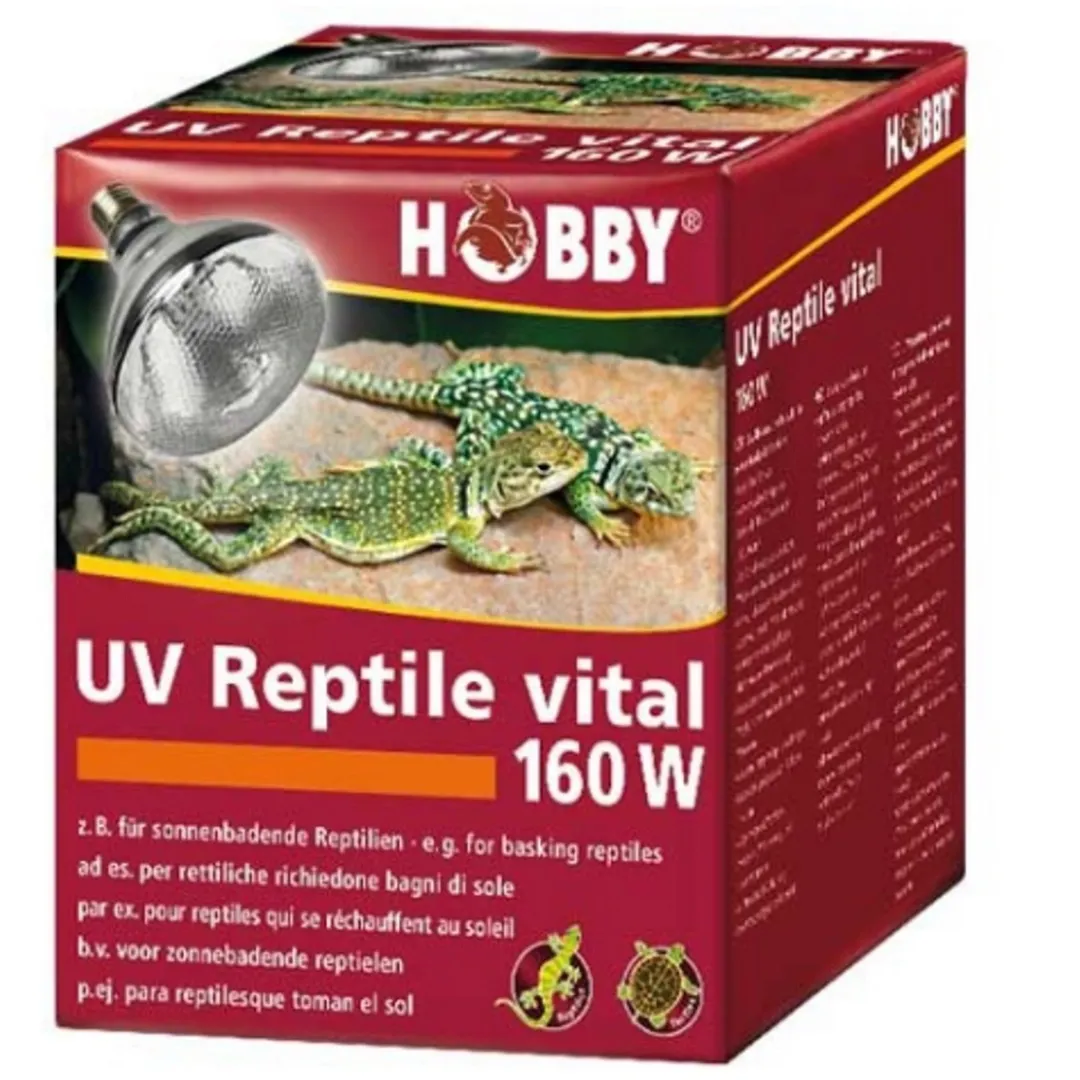 Hot UV Reptile vital 160 W Terrarielysstofrør, Pærer Og Varme