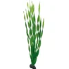 Discount Vallisneria 60 cm Akvarieplanter