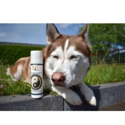Hot Hundefrisørens professionelle Duo Carbon shampoo 200 ml Plejemidler Til Hund Med Fokus På Sundhed Og Velvære