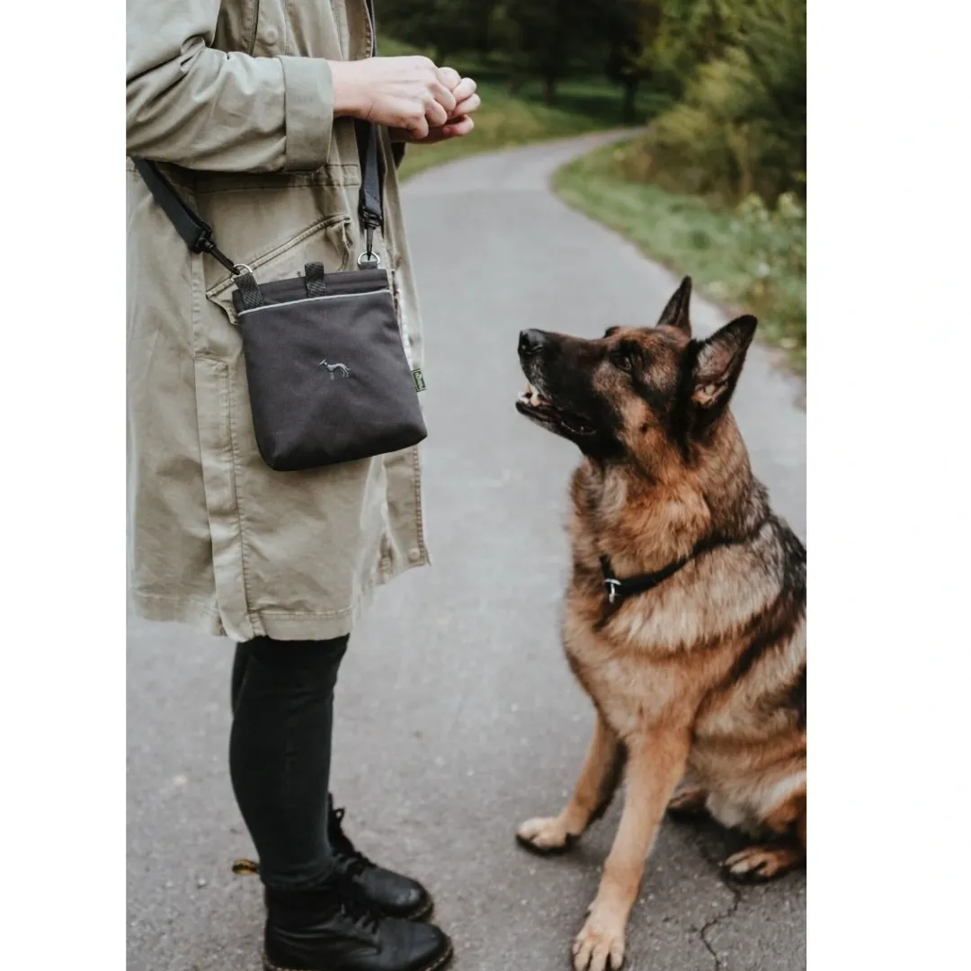 Sale Hunde Godbidstaske Alva med skulderrem Grå Hundetilbehør Til Hvalpe - Tryg Start I Hverdagen|Tilbehør Til Hund - Alt Til En Glad Og Tryg Hverdag For Din Bedste Ven